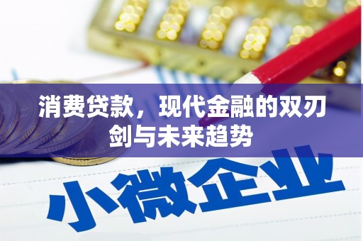 薛城消费贷款，现代金融的双刃剑与未来趋势