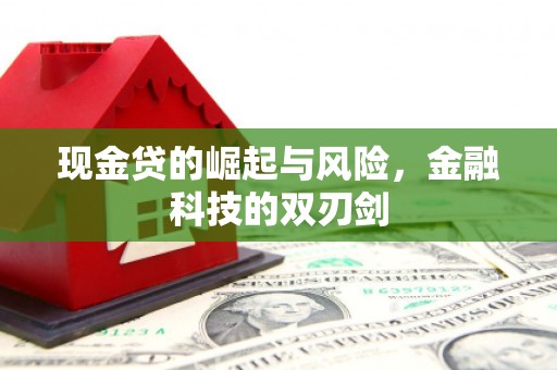 薛城现金贷的崛起与风险，金融科技的双刃剑