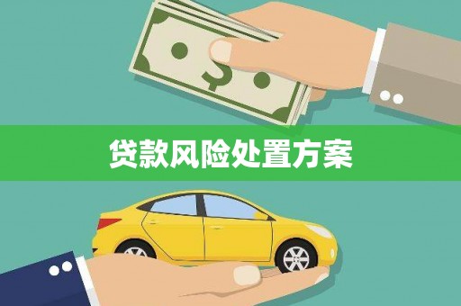 薛城贷款风险处置方案