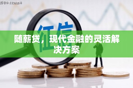 薛城随薪贷，现代金融的灵活解决方案