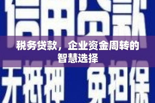 薛城税务贷款，企业资金周转的智慧选择