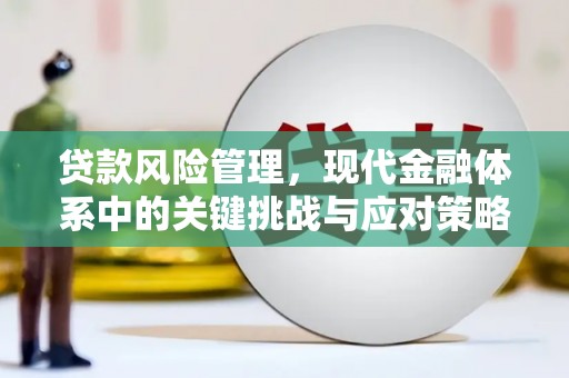 薛城贷款风险管理，现代金融体系中的关键挑战与应对策略
