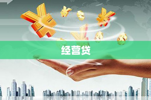 薛城经营贷