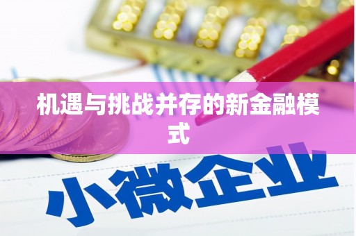 薛城机遇与挑战并存的新金融模式