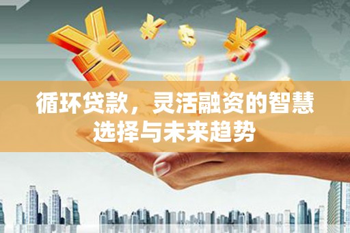 薛城循环贷款，灵活融资的智慧选择与未来趋势