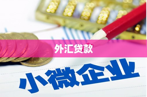 薛城外汇贷款