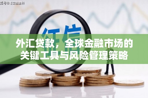 薛城外汇贷款，全球金融市场的关键工具与风险管理策略