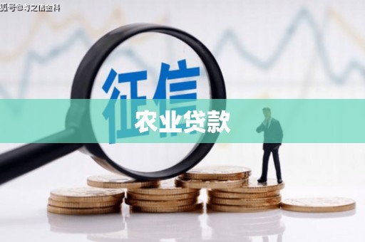 薛城农业贷款