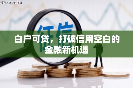 薛城白户可贷，打破信用空白的金融新机遇