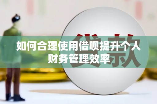 薛城如何合理使用借呗提升个人财务管理效率
