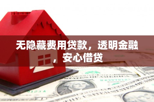 薛城无隐藏费用贷款，透明金融，安心借贷