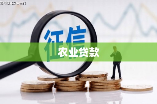 薛城农业贷款