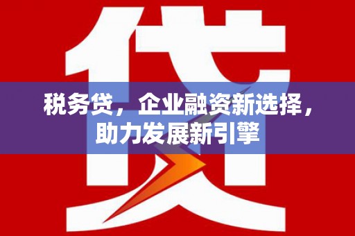 薛城税务贷，企业融资新选择，助力发展新引擎