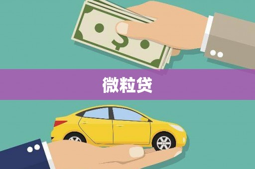 薛城微粒贷