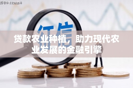 薛城贷款农业种植，助力现代农业发展的金融引擎