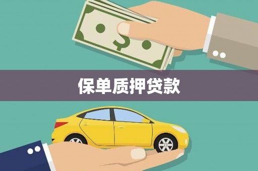 薛城保单质押贷款