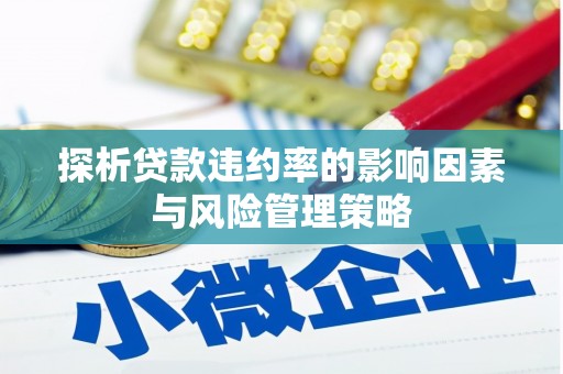 薛城探析贷款违约率的影响因素与风险管理策略