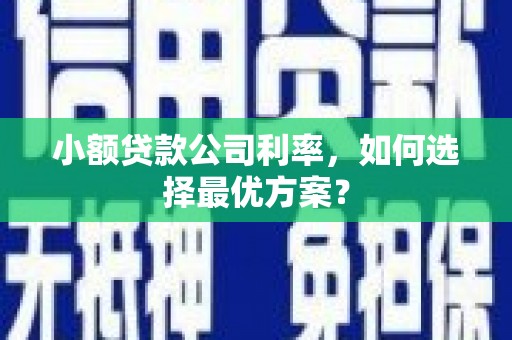 薛城小额贷款公司利率，如何选择最优方案？