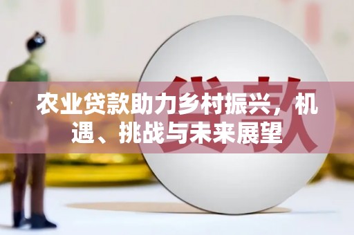 薛城农业贷款助力乡村振兴，机遇、挑战与未来展望