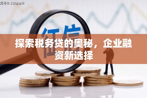 薛城探索税务贷的奥秘，企业融资新选择