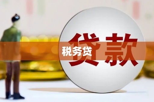 薛城税务贷