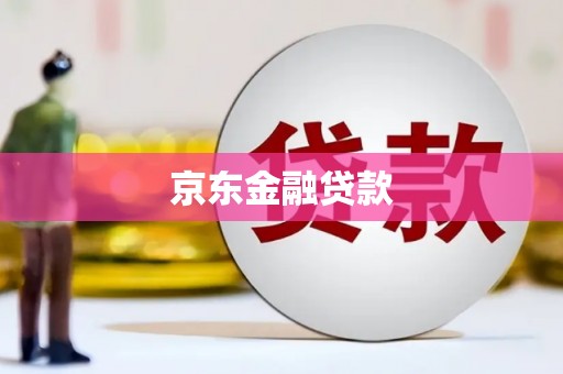 薛城京东金融贷款