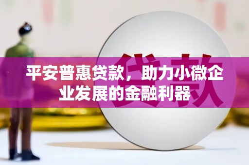 薛城平安普惠贷款，助力小微企业发展的金融利器