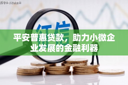 薛城平安普惠贷款，助力小微企业发展的金融利器