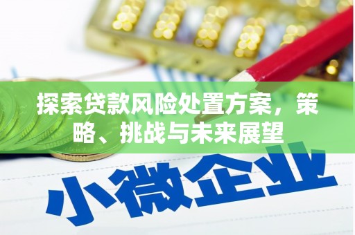 薛城探索贷款风险处置方案，策略、挑战与未来展望