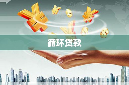 薛城循环贷款
