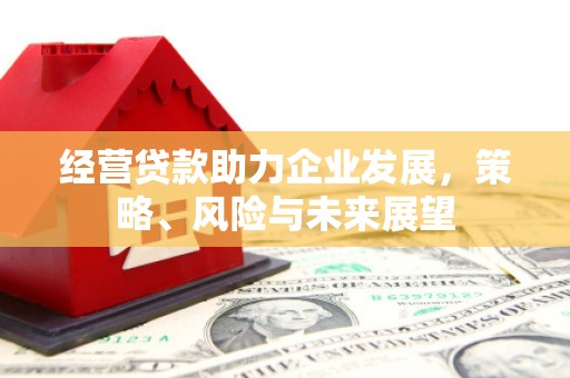 薛城经营贷款助力企业发展，策略、风险与未来展望