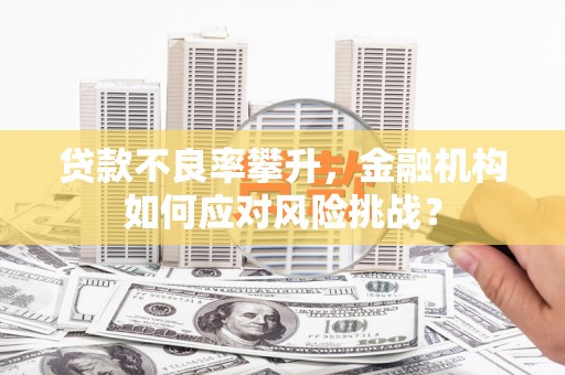 薛城贷款不良率攀升，金融机构如何应对风险挑战？