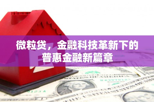 薛城微粒贷，金融科技革新下的普惠金融新篇章