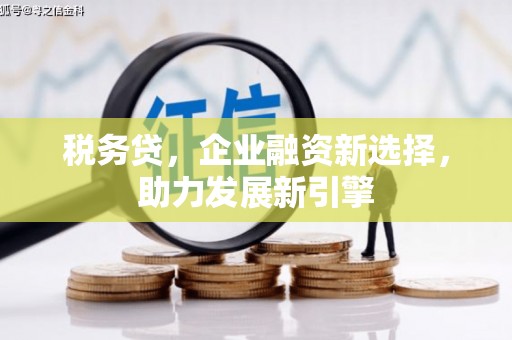 薛城税务贷，企业融资新选择，助力发展新引擎