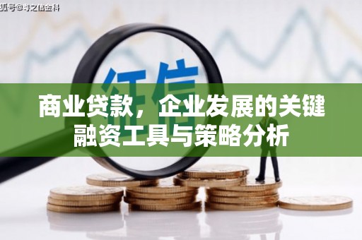 薛城商业贷款，企业发展的关键融资工具与策略分析