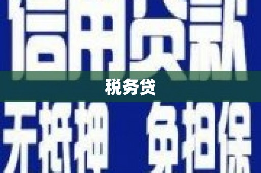 薛城税务贷