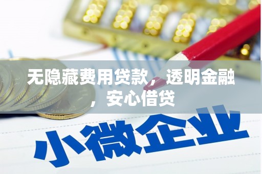 薛城无隐藏费用贷款，透明金融，安心借贷