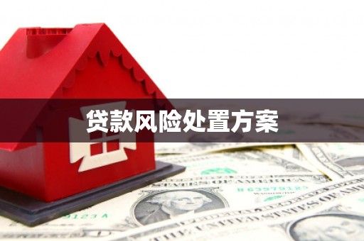 薛城贷款风险处置方案