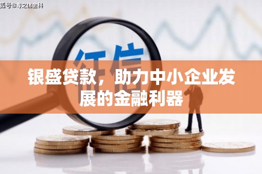 薛城银盛贷款，助力中小企业发展的金融利器