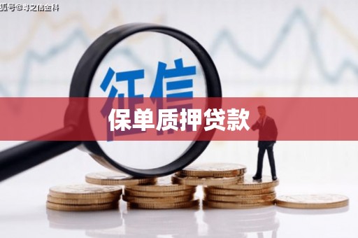 薛城保单质押贷款