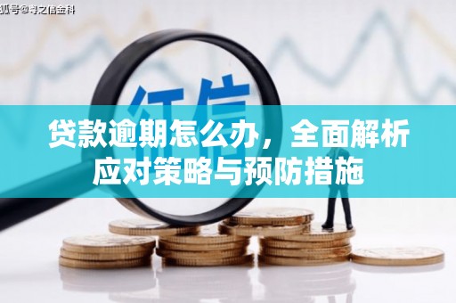 薛城贷款逾期怎么办，全面解析应对策略与预防措施