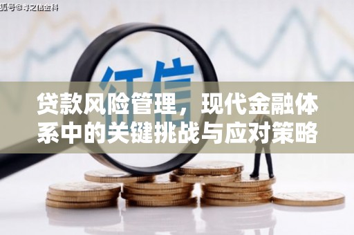 薛城贷款风险管理，现代金融体系中的关键挑战与应对策略
