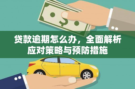 薛城贷款逾期怎么办，全面解析应对策略与预防措施