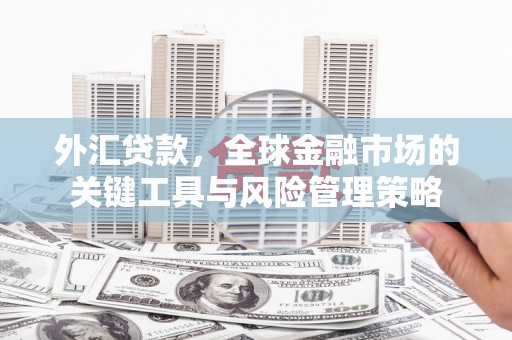 薛城外汇贷款，全球金融市场的关键工具与风险管理策略