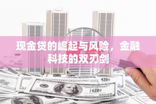 薛城现金贷的崛起与风险，金融科技的双刃剑