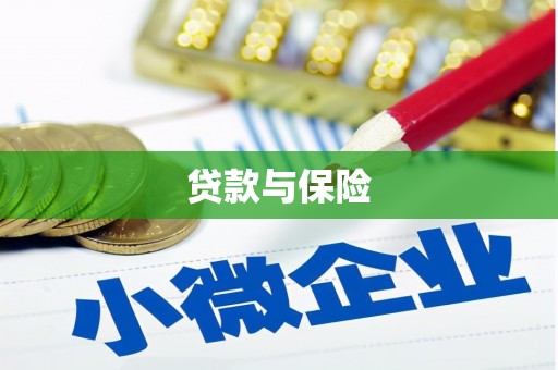 薛城贷款与保险