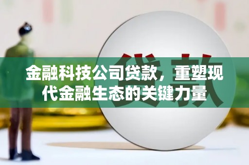 薛城金融科技公司贷款，重塑现代金融生态的关键力量