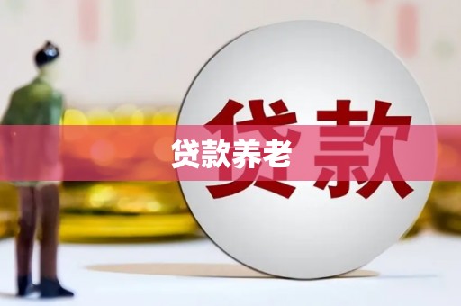 薛城贷款养老