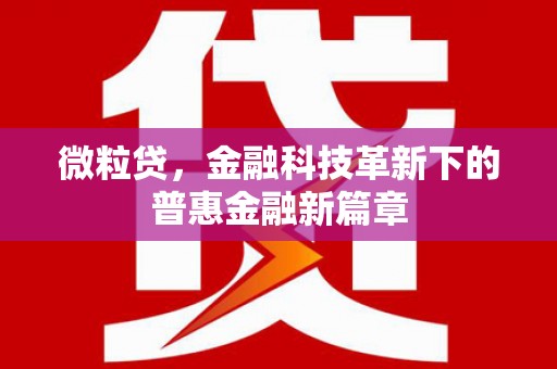 薛城微粒贷，金融科技革新下的普惠金融新篇章