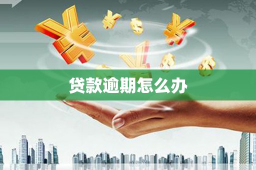 薛城贷款逾期怎么办